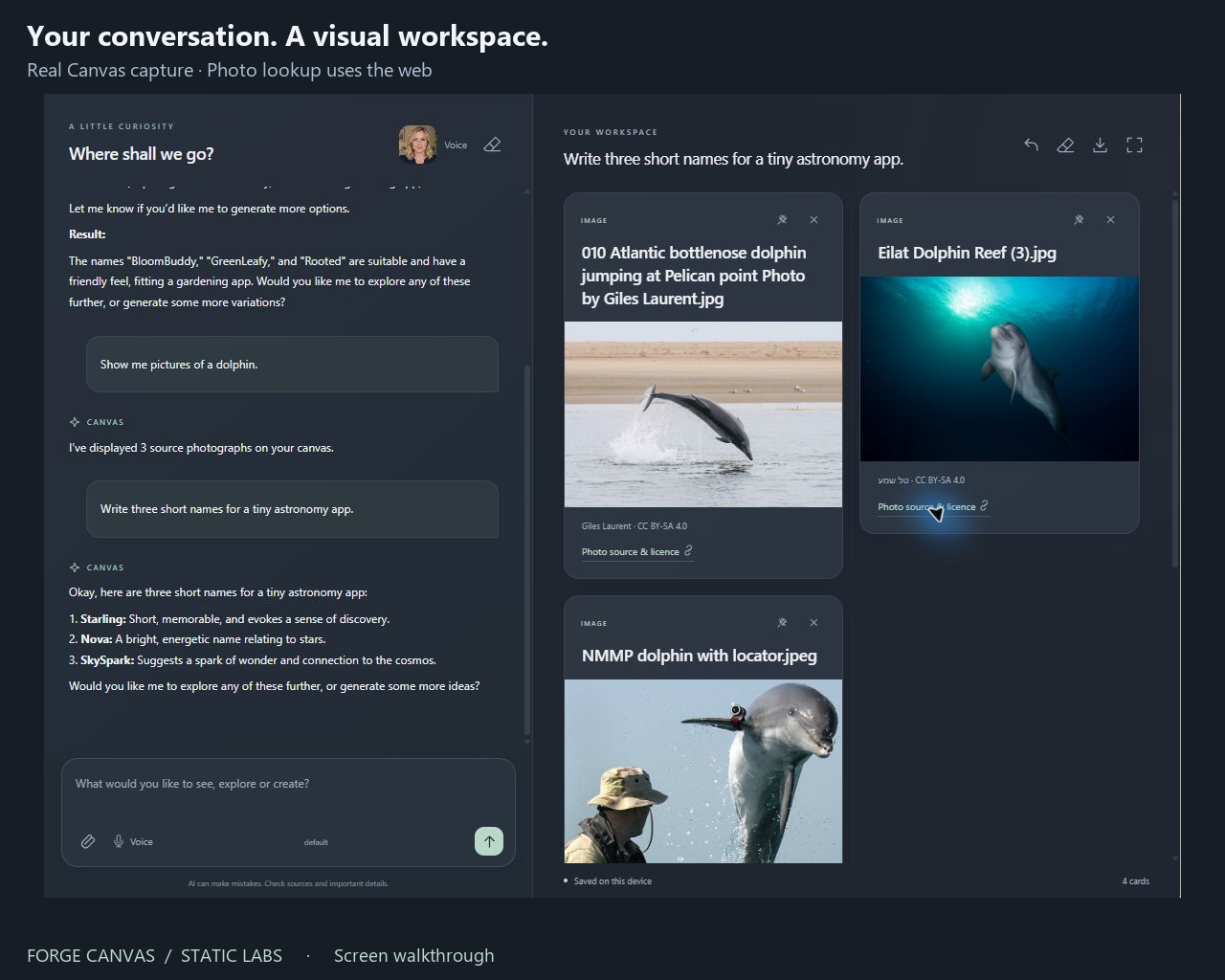 Canvas conversation with photographs and visual result cards